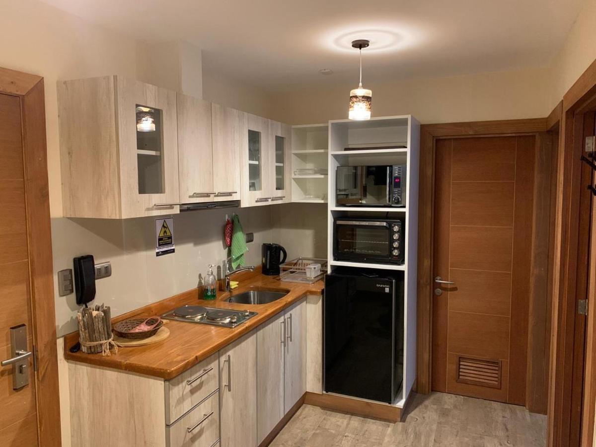 Entre Cumbres Apart Hotel Coyhaique Luaran gambar