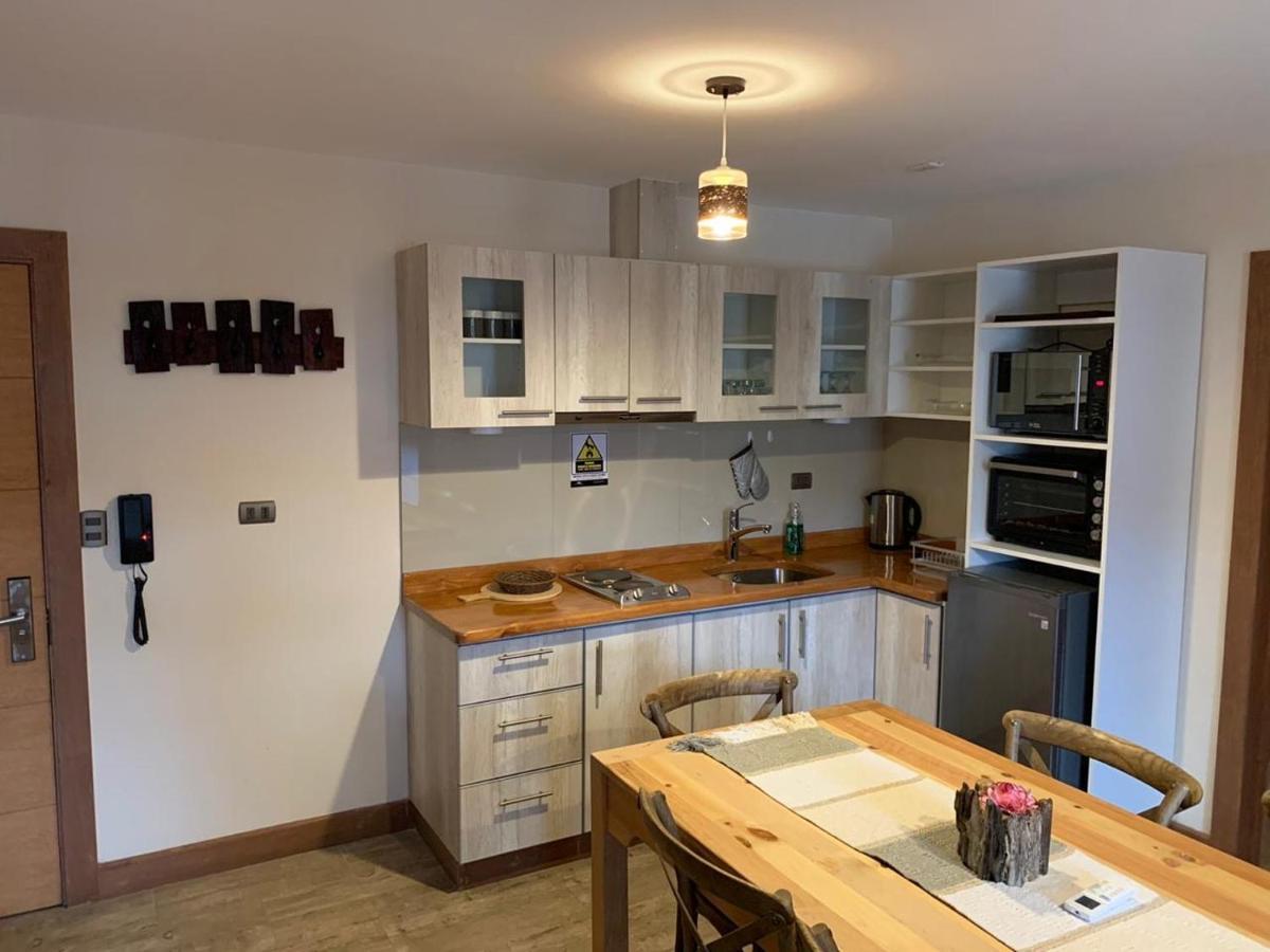 Entre Cumbres Apart Hotel Coyhaique Luaran gambar